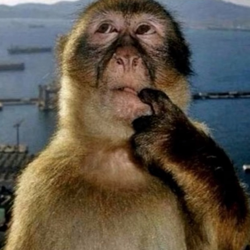 Meet your Posher, Yuri